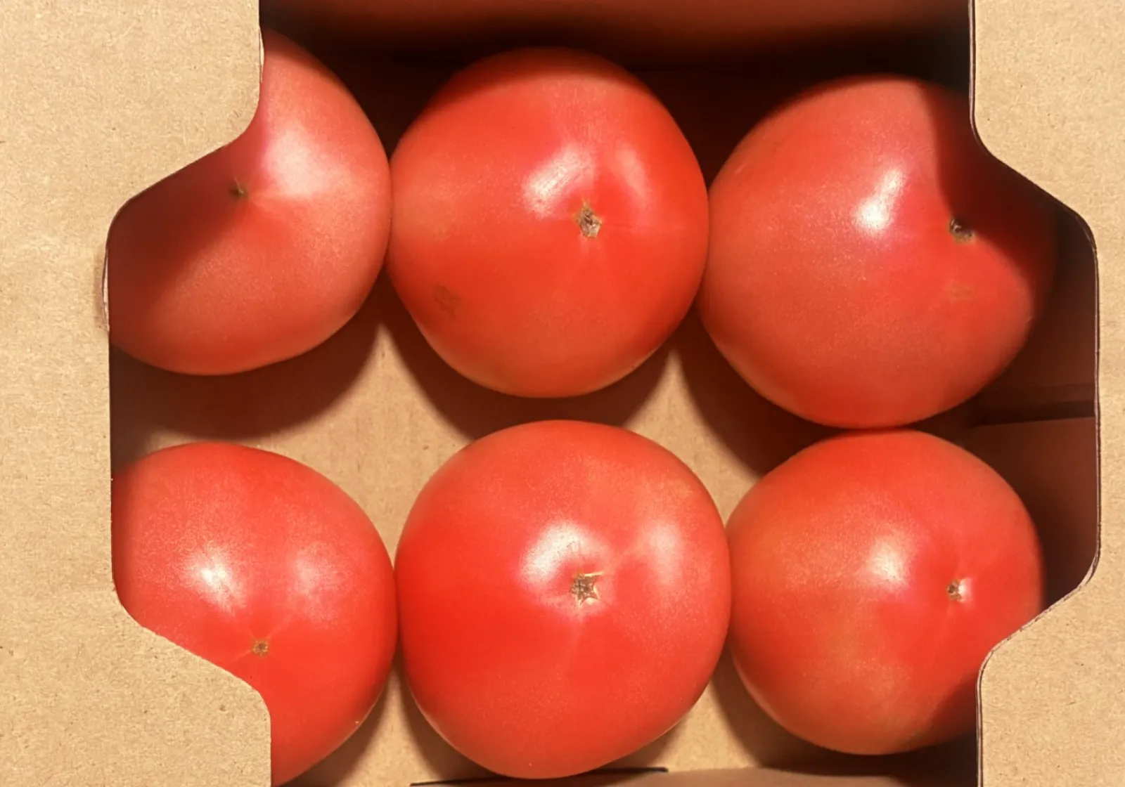 小川ファーム 栽培のこだわり 一番美味しい瞬間を逃さない