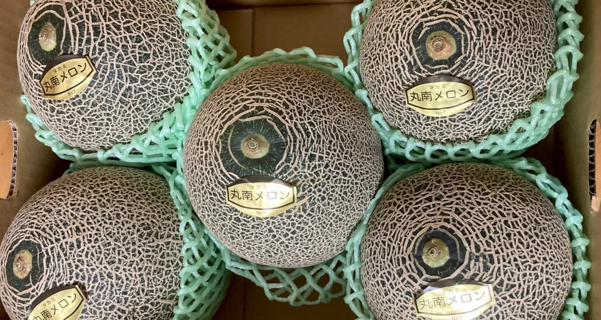 小川ファーム　タカミメロンについて