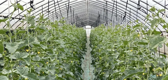 小川ファーム 味を大切にした農業を。