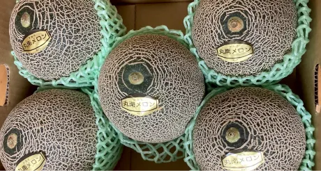 小川ファーム　タカミメロンについて