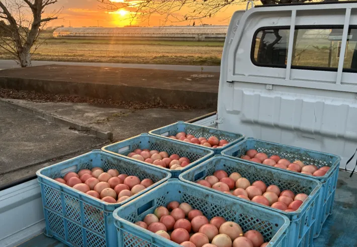 小川ファームについて