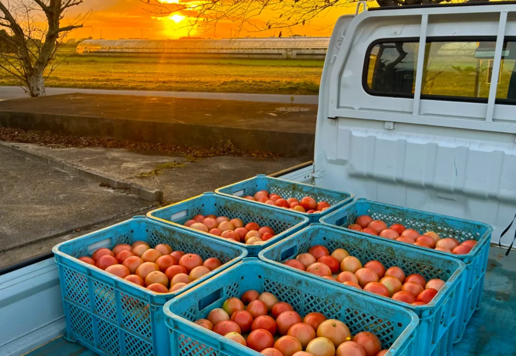 小川ファームについて