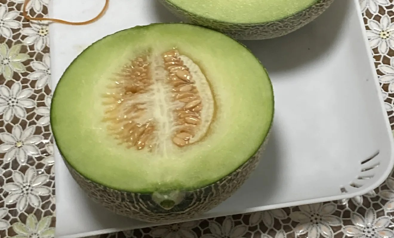 小川ファーム タカミメロン 食べごろの見分け方・保存方法